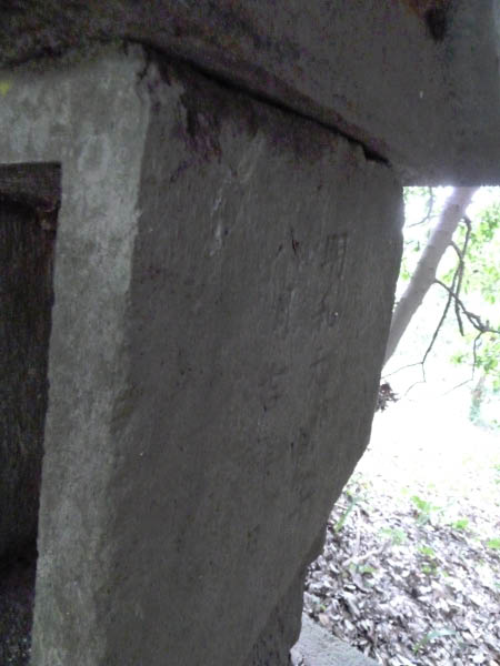 image0060