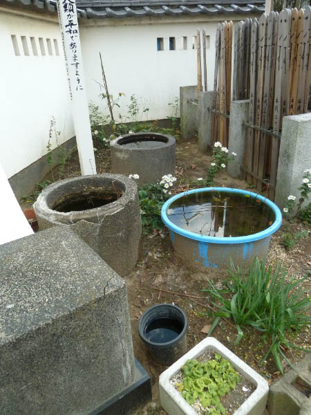 image0185