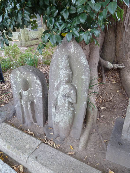 image0208