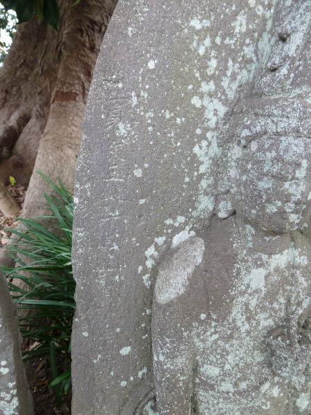 image0210