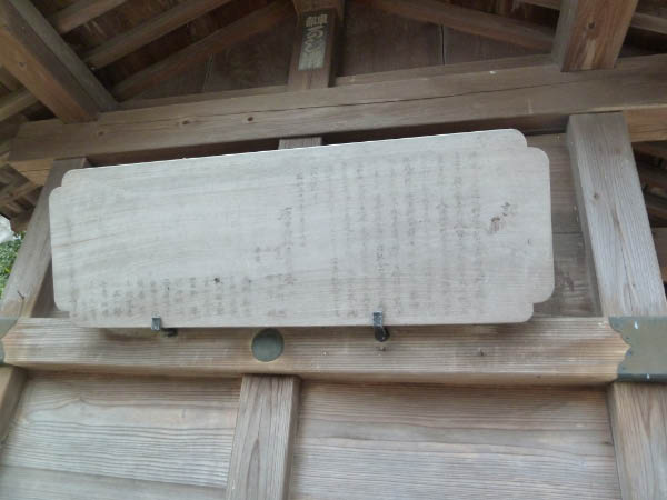 image0229