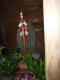 image0221