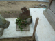 image0223
