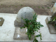 image0224
