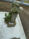 image0226