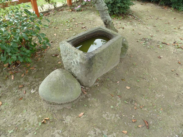 image0183